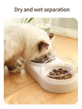 Load image into Gallery viewer, Pet Automatic Feeder with water fountain
