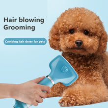 Load image into Gallery viewer, Pet Hair Dryer 2 in 1
