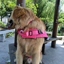 Load image into Gallery viewer, Dog Life Vest
