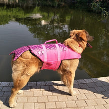 Load image into Gallery viewer, Dog Life Vest
