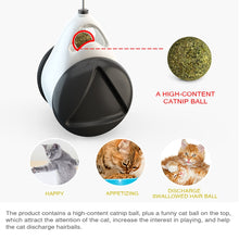 Load image into Gallery viewer, Interactive Balance Cat Chasing Toy
