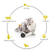 Load image into Gallery viewer, Interactive Balance Cat Chasing Toy
