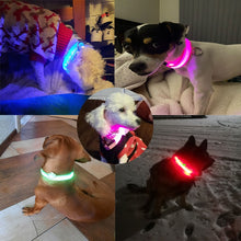 Load image into Gallery viewer, USB Rechargeable Dog LED Glowing Collar
