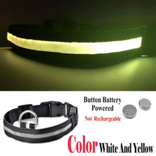 Load image into Gallery viewer, USB Rechargeable Dog LED Glowing Collar
