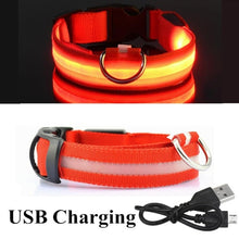 Load image into Gallery viewer, USB Rechargeable Dog LED Glowing Collar
