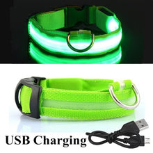 Load image into Gallery viewer, USB Rechargeable Dog LED Glowing Collar
