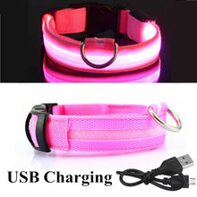 Load image into Gallery viewer, USB Rechargeable Dog LED Glowing Collar
