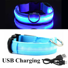 Load image into Gallery viewer, USB Rechargeable Dog LED Glowing Collar
