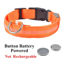 Load image into Gallery viewer, USB Rechargeable Dog LED Glowing Collar
