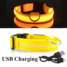 Load image into Gallery viewer, USB Rechargeable Dog LED Glowing Collar
