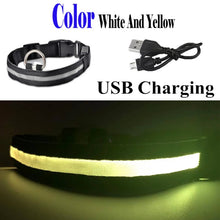 Load image into Gallery viewer, USB Rechargeable Dog LED Glowing Collar
