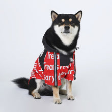 Load image into Gallery viewer, Windproof Dog Winter Jacket THE DOG FACE
