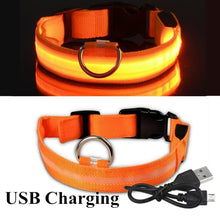 Load image into Gallery viewer, USB Rechargeable Dog LED Glowing Collar
